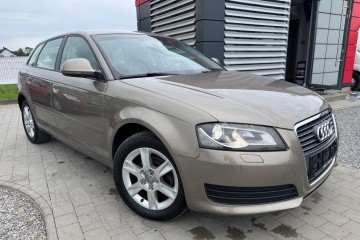 Xenon Skóra Grzane Fotele 1.9TDI bez DPF !